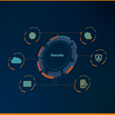 A security observability offering to detect shadow IT in the network